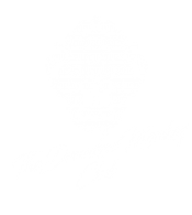 TDM_weiss